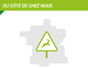 Du côté de chez nous