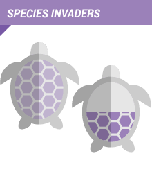 Species invaders