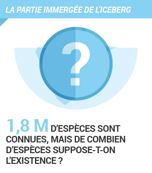 La partie immergée de l'iceberg